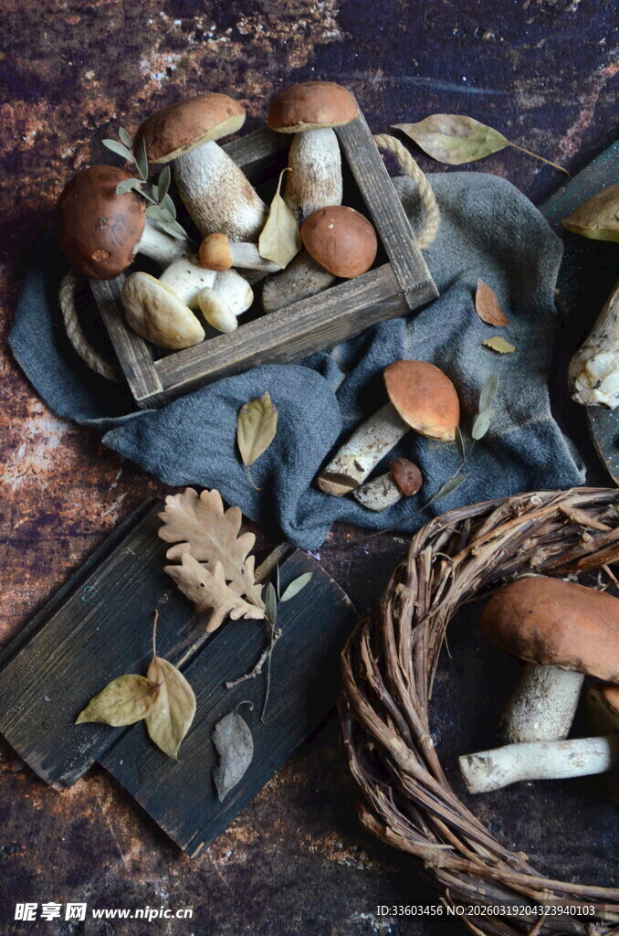 秋季野蘑菇静物组合