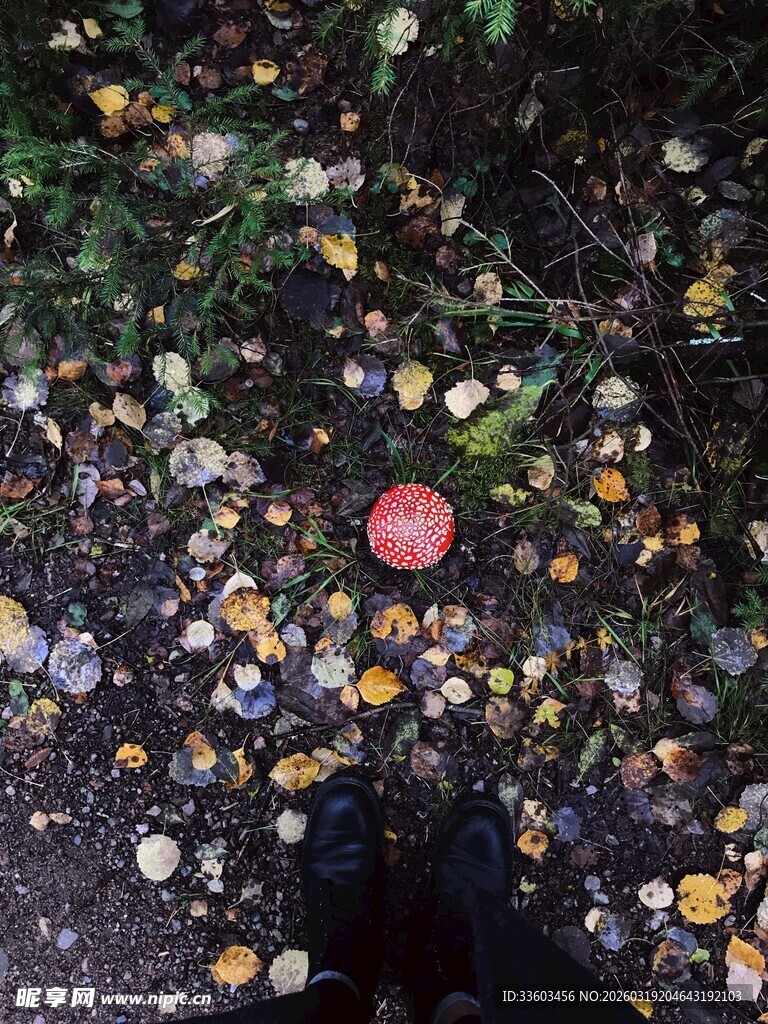 地上散落多彩糖果与球