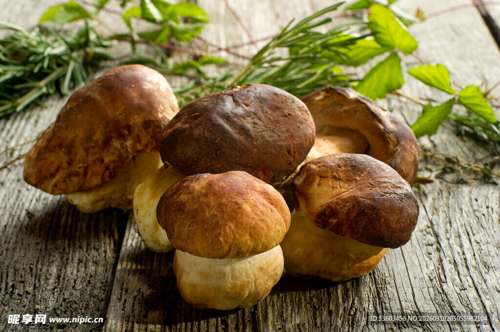 木桌上的新鲜美味蘑菇