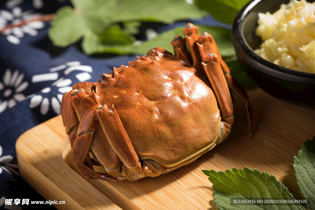 新鲜大闸蟹置于砧板上