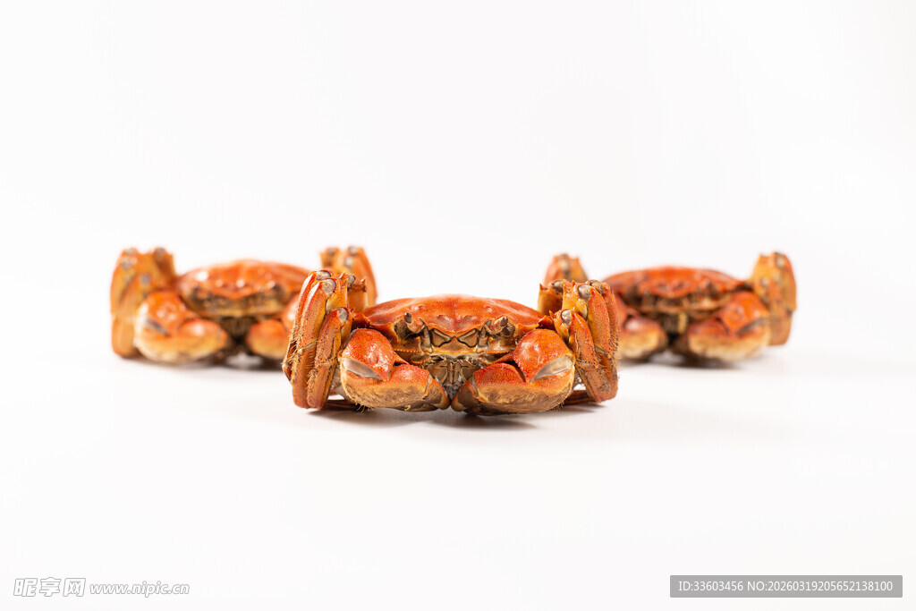 三只螃蟹摆放在一起