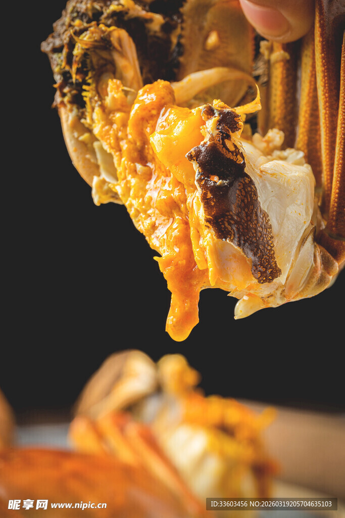 美味流油的大闸蟹特写