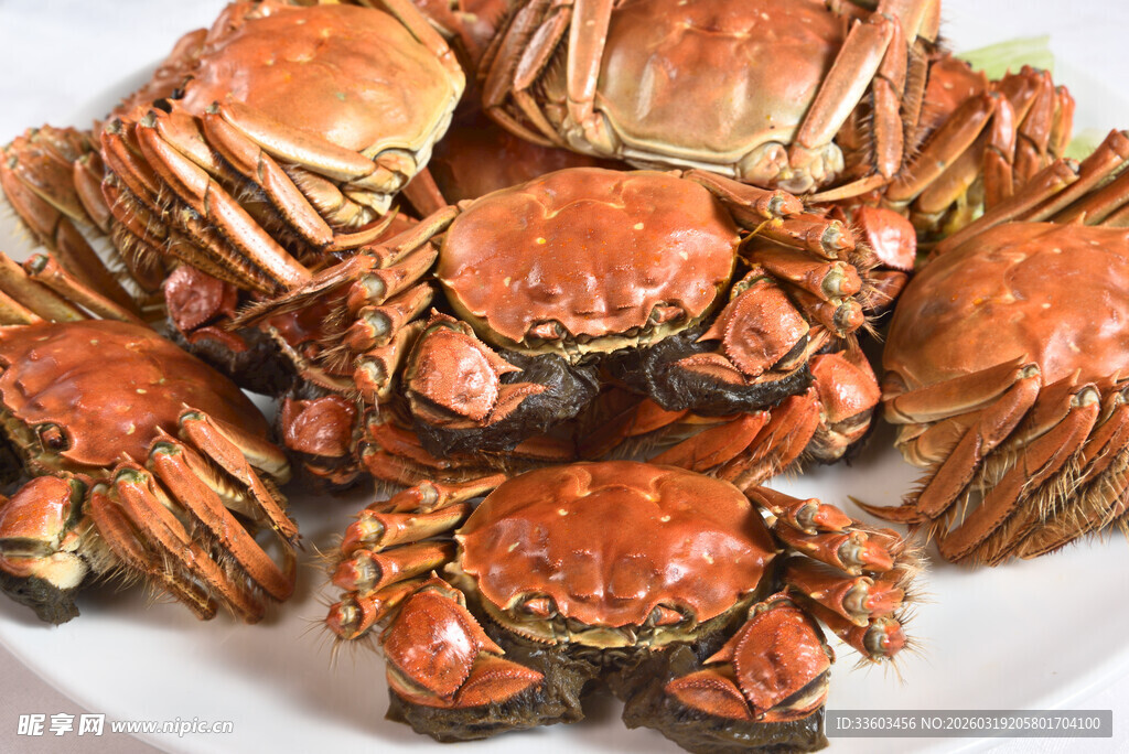 一盘美味大闸蟹