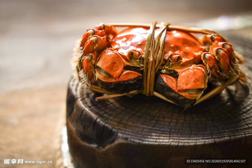 绑绳大闸蟹置于木墩上