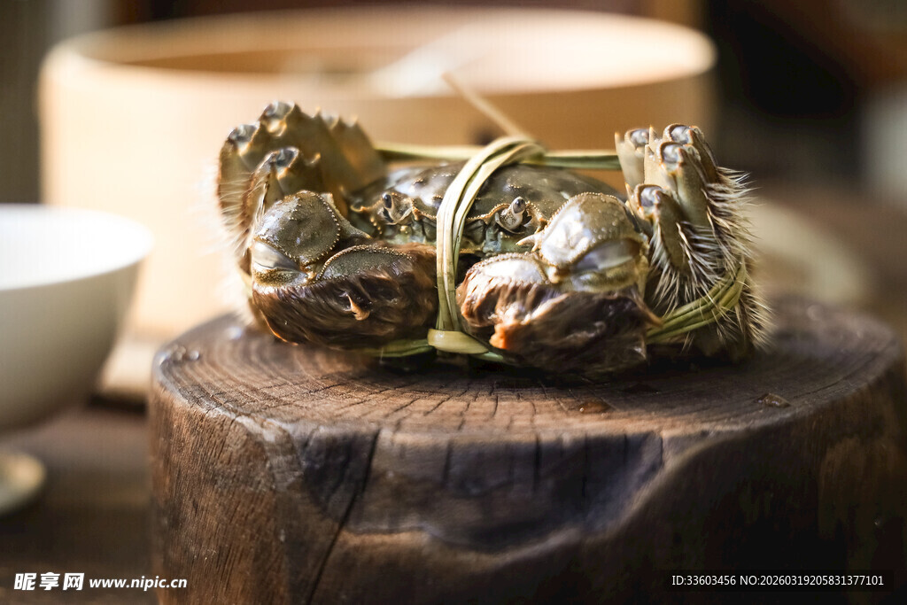 木墩上的绑绳大闸蟹