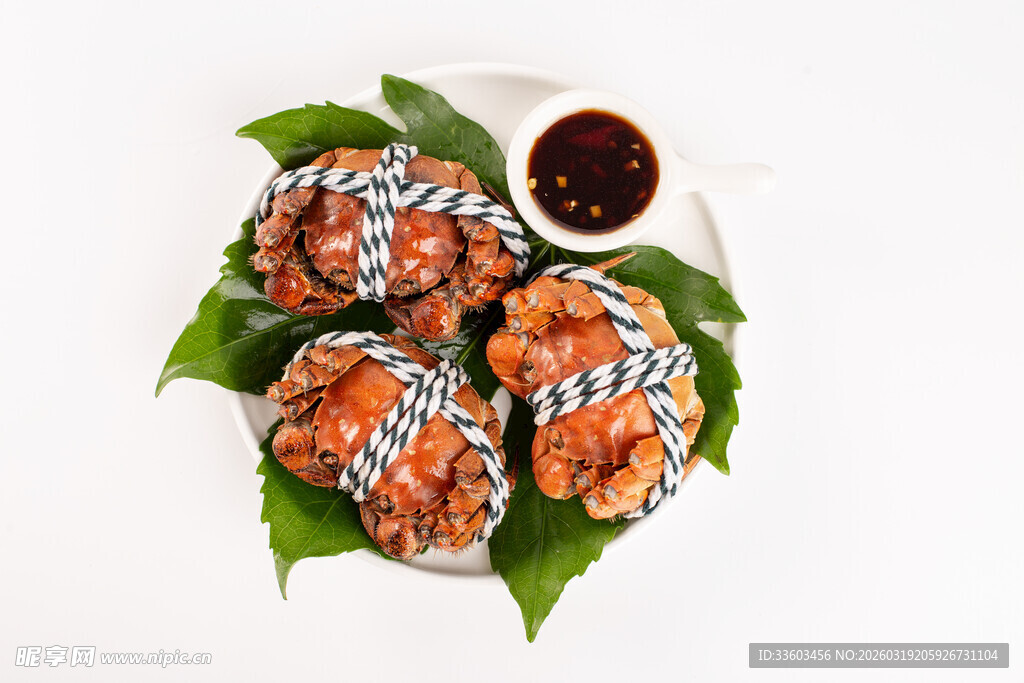 美味寿司配蘸料