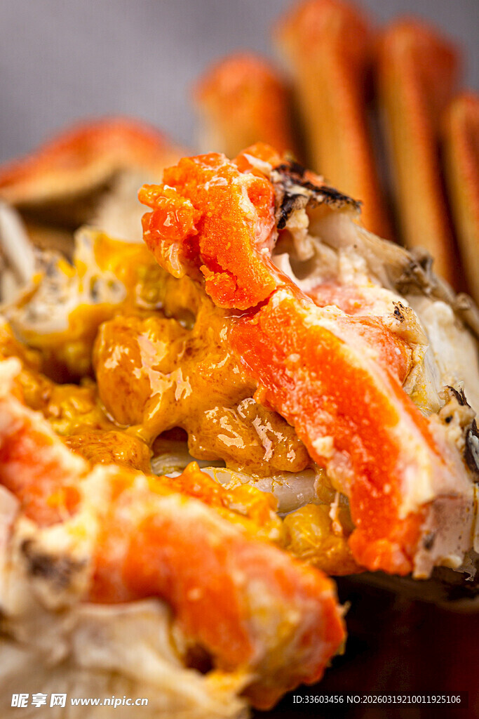 美味大闸蟹特写