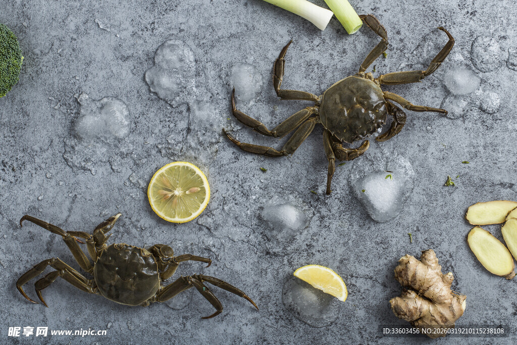 新鲜螃蟹配柠檬姜片