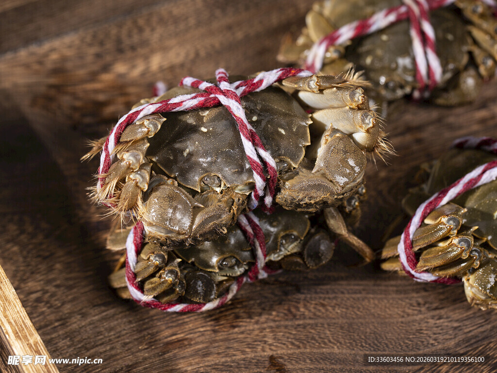 绑绳大闸蟹置于木桌中