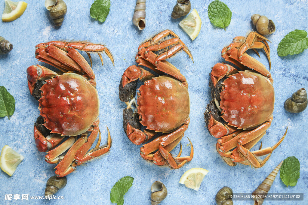 新鲜螃蟹搭配柠檬与香叶