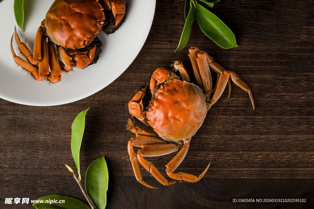 两只鲜活大闸蟹摆拍图