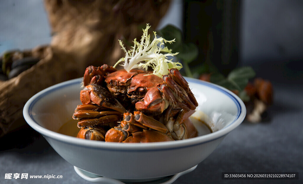 美味红烧排骨盛于白碗中