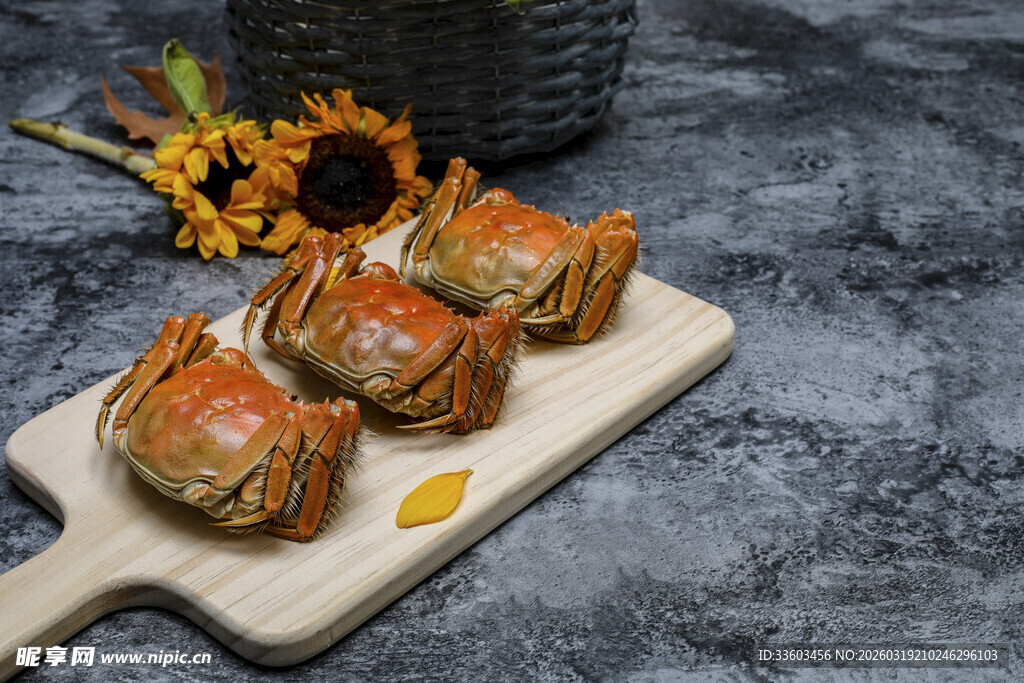 新鲜大闸蟹摆放在砧板上