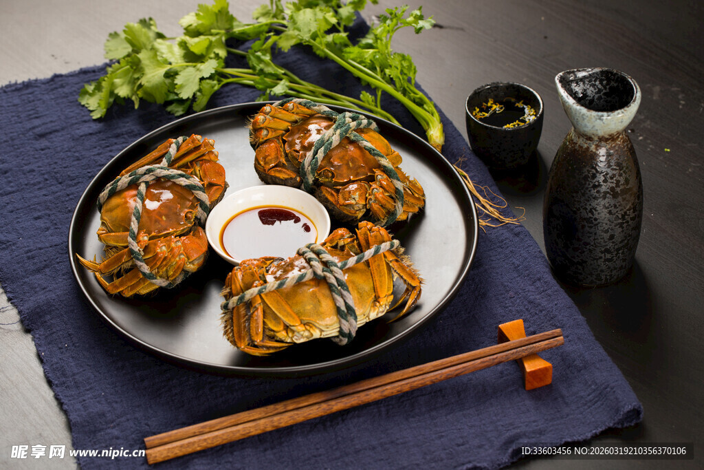 美味寿司摆盘展示