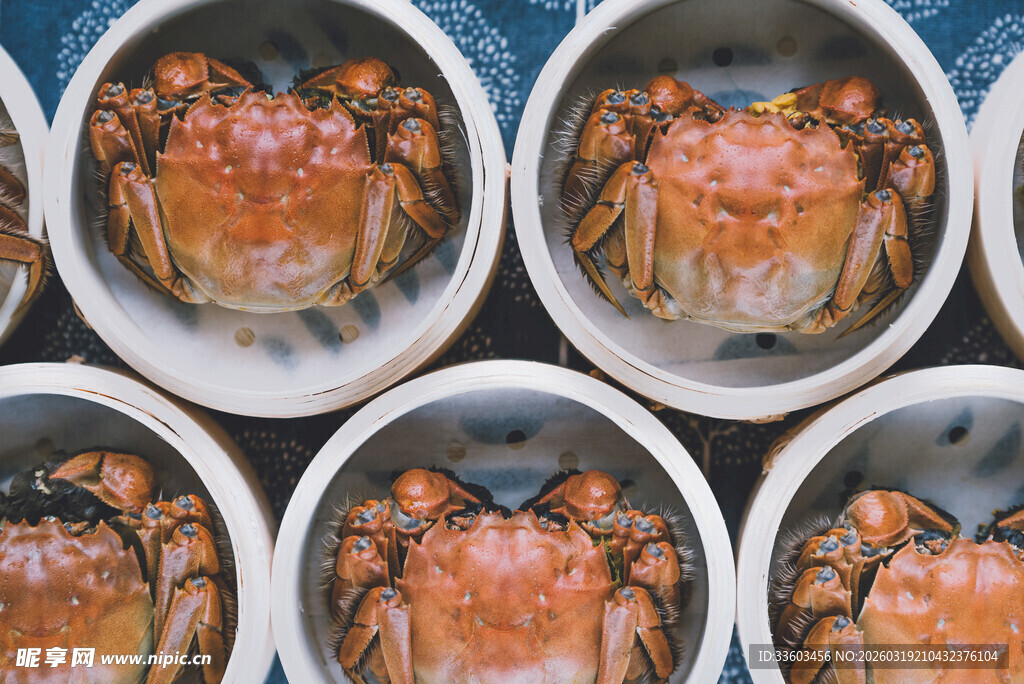 新鲜大闸蟹整齐排列
