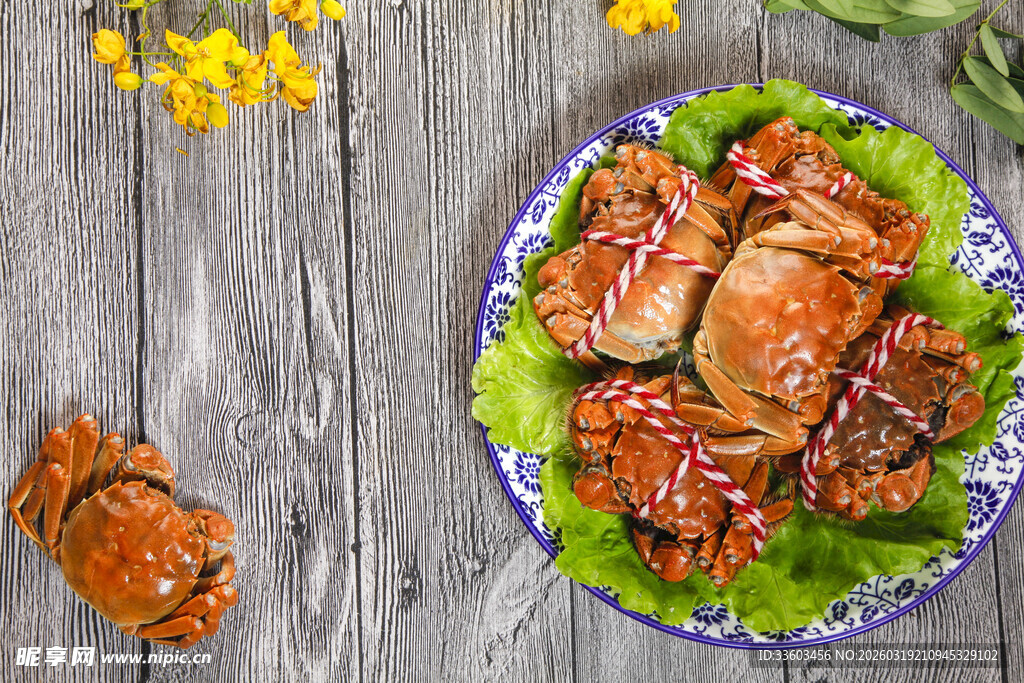 美味大闸蟹摆放在生菜上