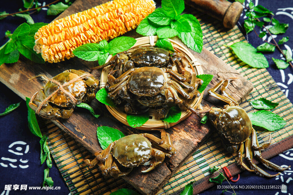 新鲜螃蟹与玉米的美味组合