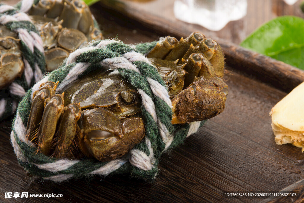 绑绳大闸蟹置于木桌