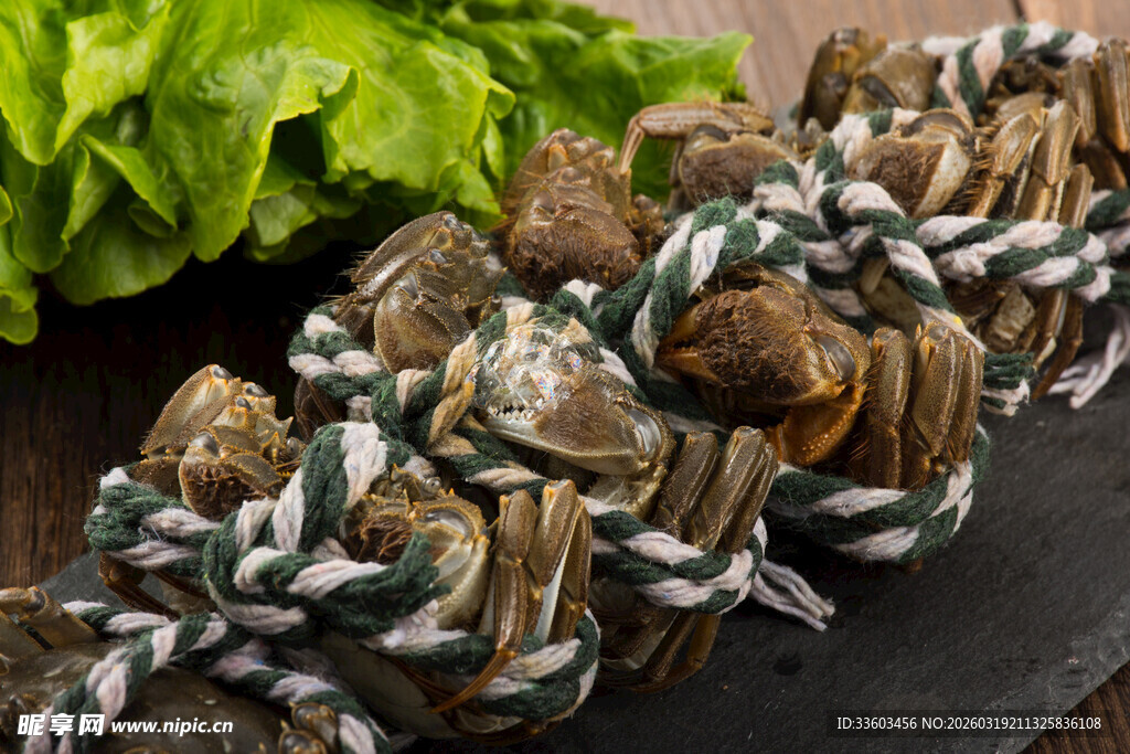 鲜活螃蟹与翠绿生菜摆拍