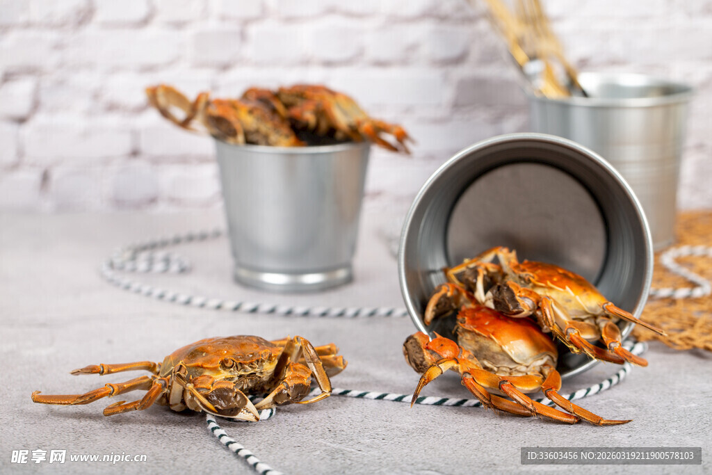 新鲜螃蟹与美味炸鸡组合