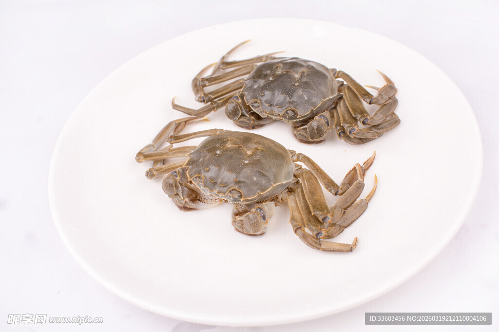盘中两只小螃蟹
