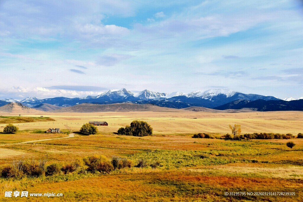 广袤草原与远处雪山美景
