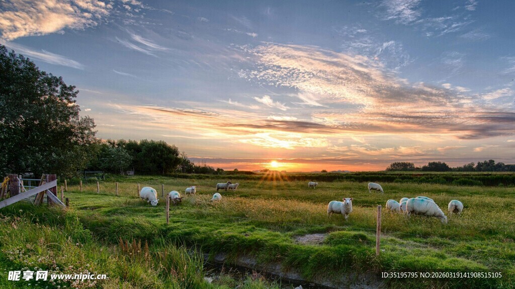草原日落美景与悠闲羊群