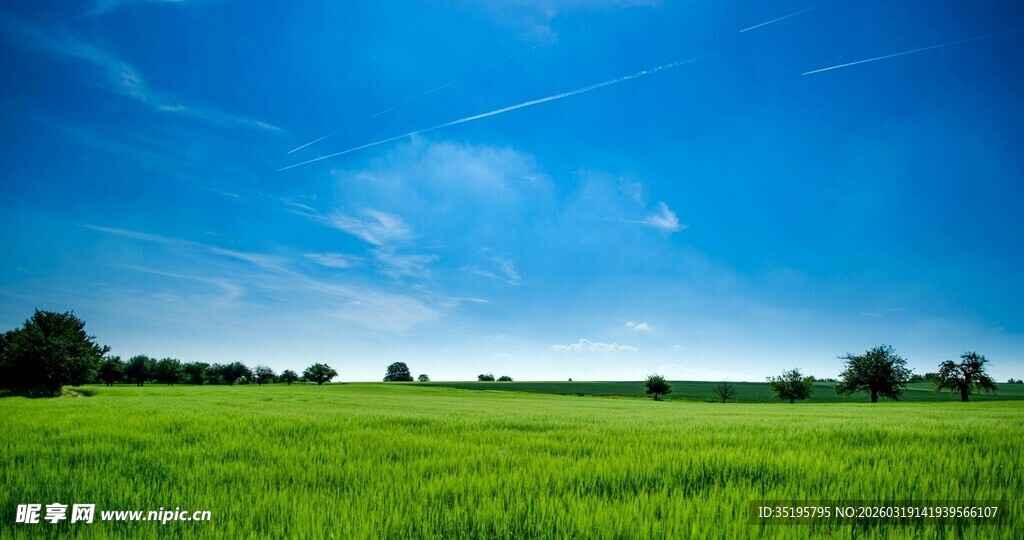 广袤绿野蓝天相伴