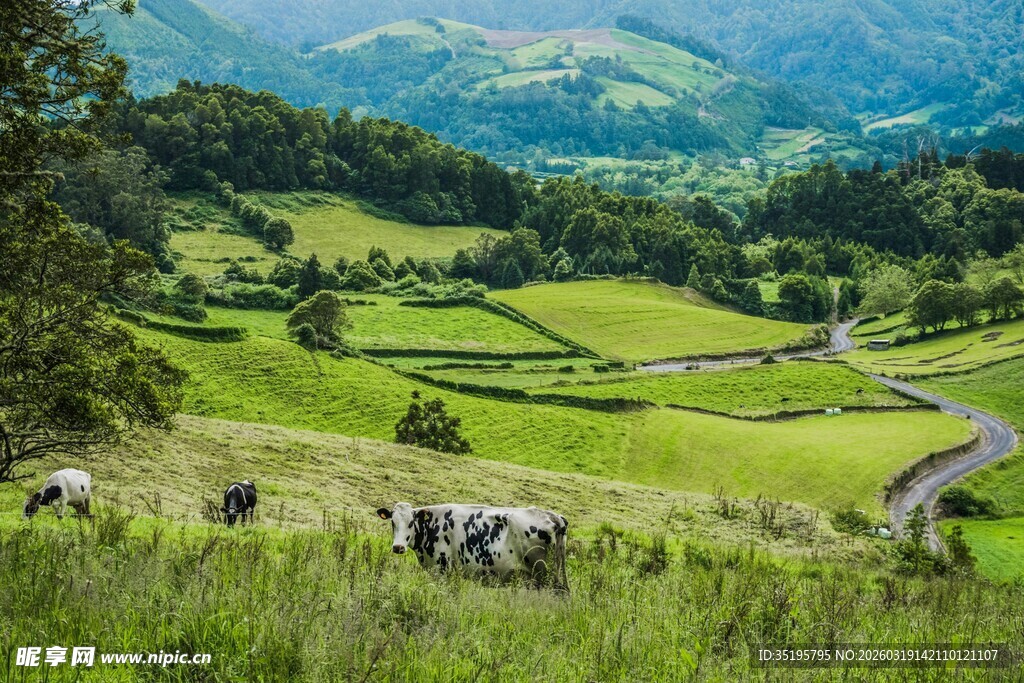 田园牧场景色如画