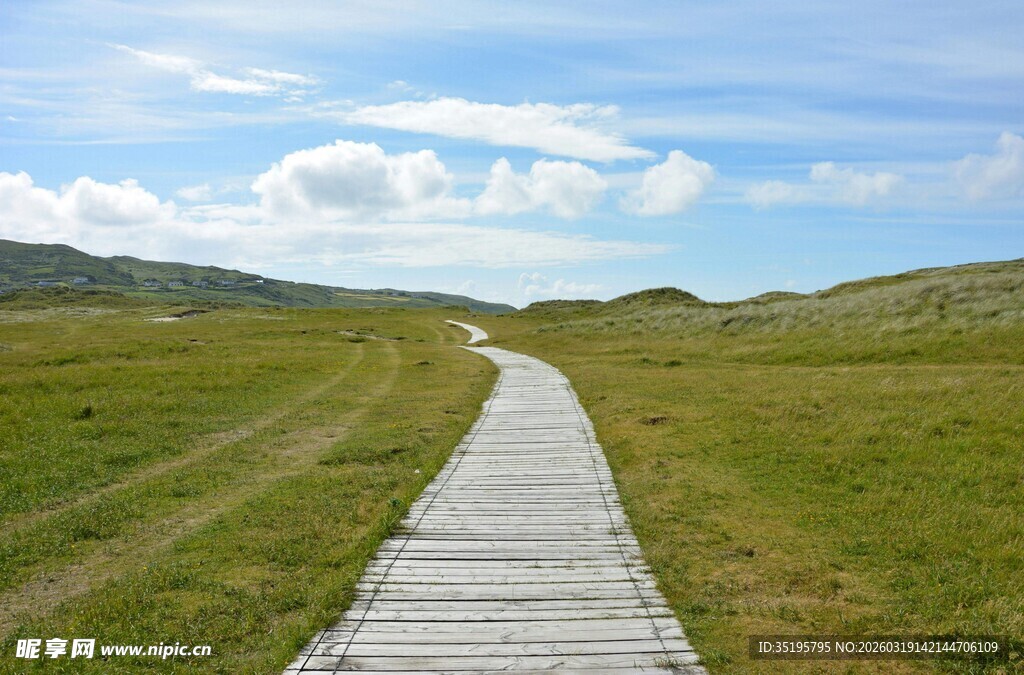 草原上的木质小径