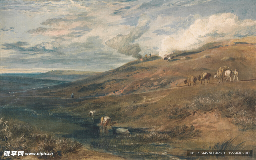 田园风光中的广袤原野