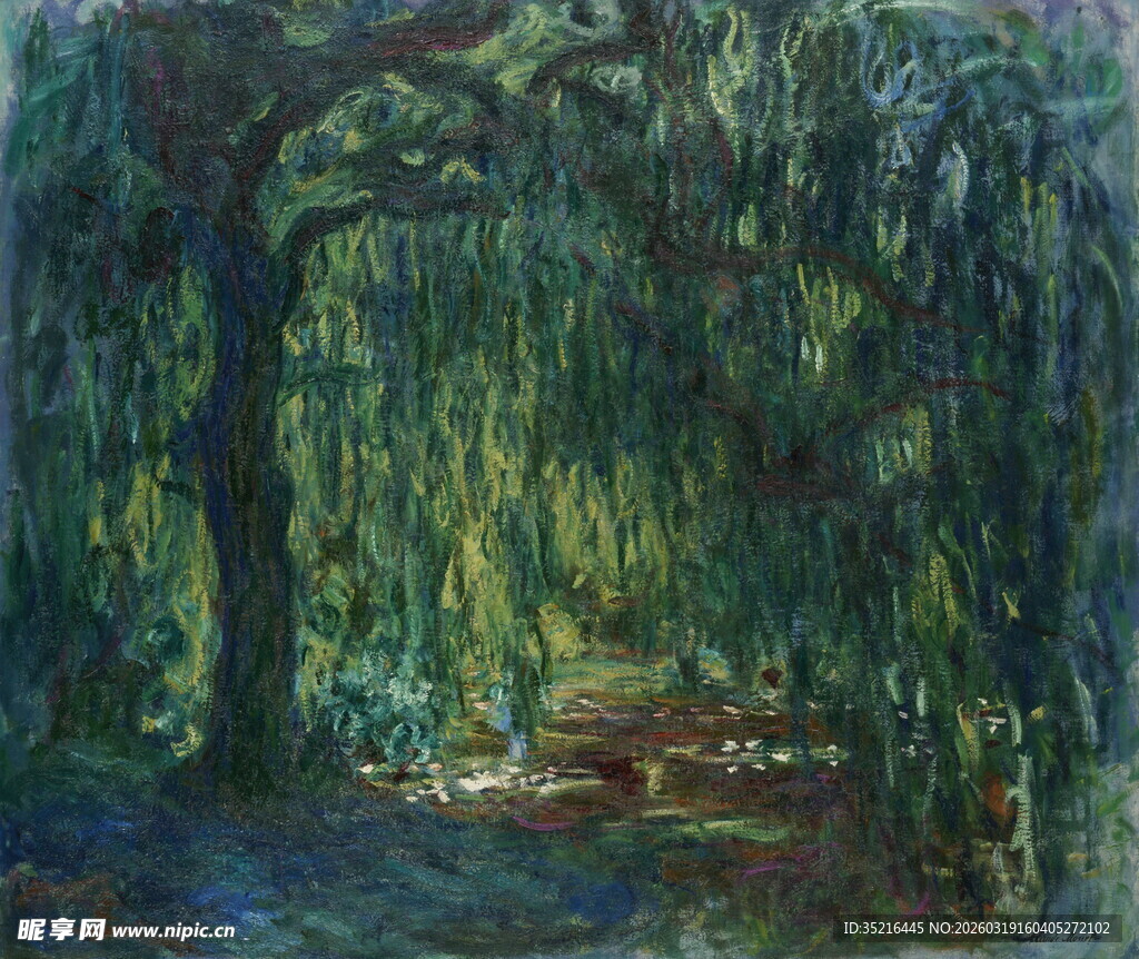 垂柳成荫的静谧林间小道