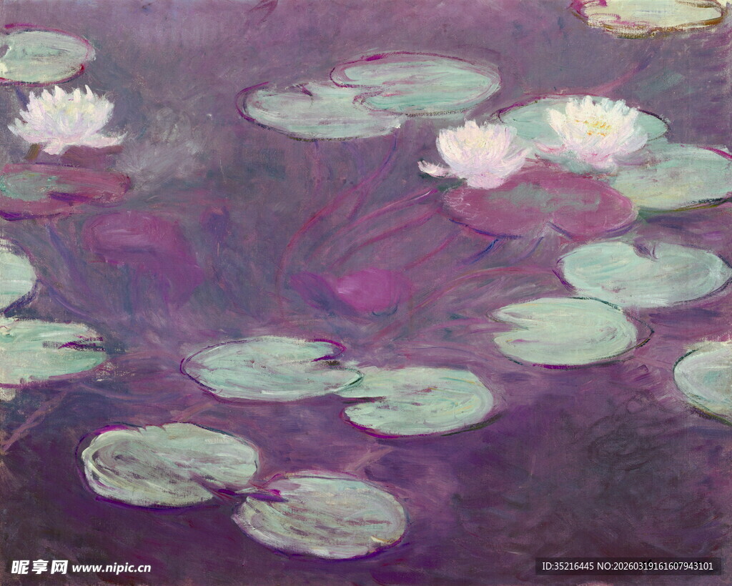 紫色湖面的睡莲与莲叶