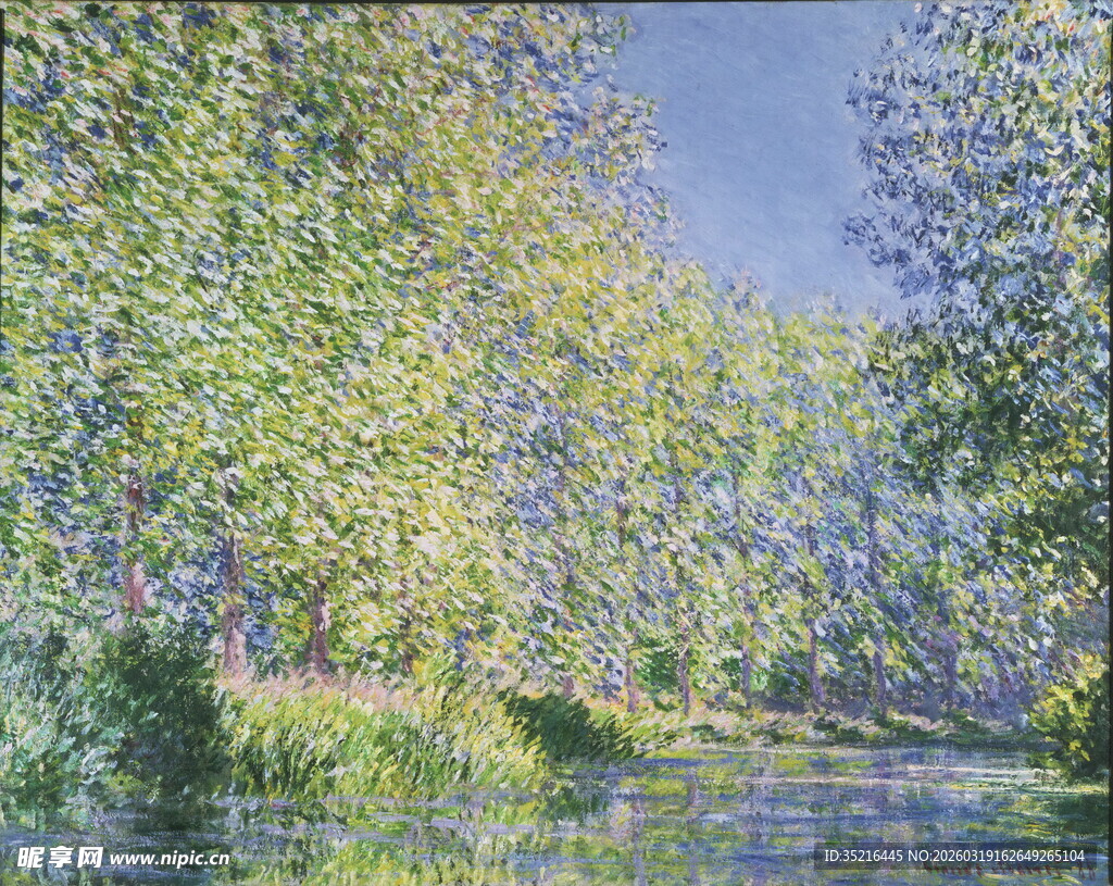 河畔绿树成荫的美丽景致