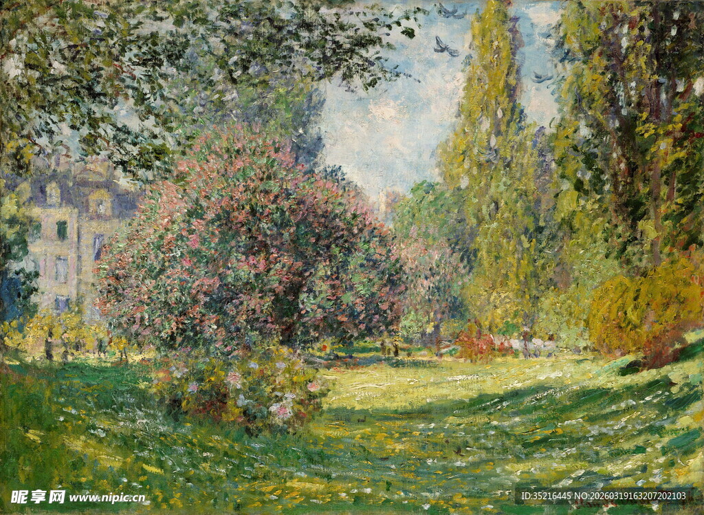 夏日花园中的繁茂景致