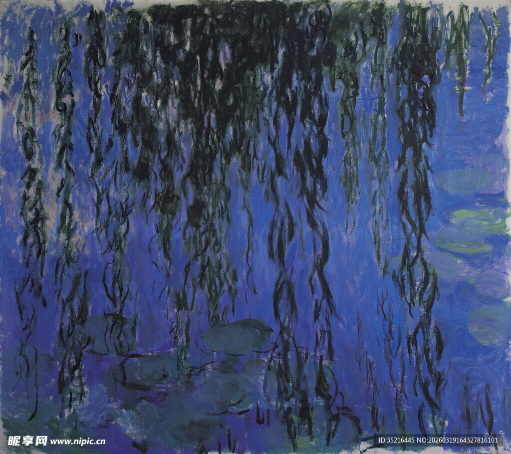 蓝色睡莲下的垂柳景致