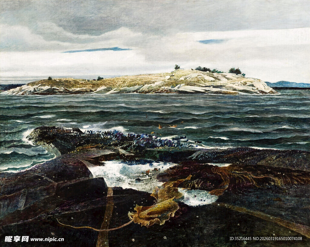 海边礁石与远处岛屿景观