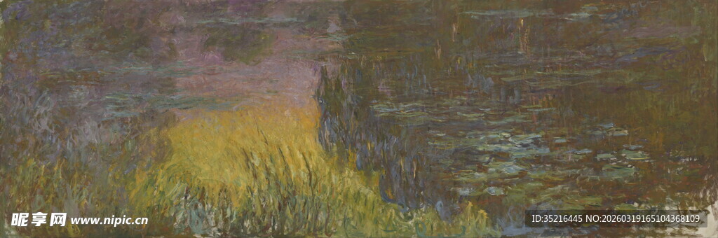 林间光影下的静谧景色