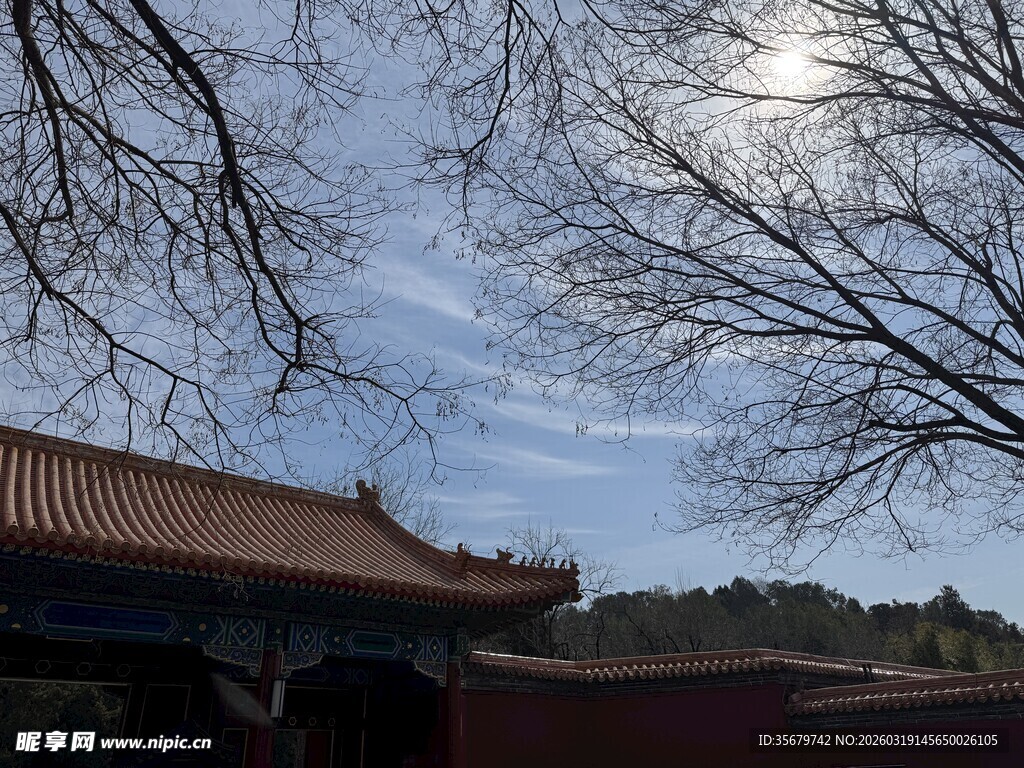 古建蓝天树枝相映成趣