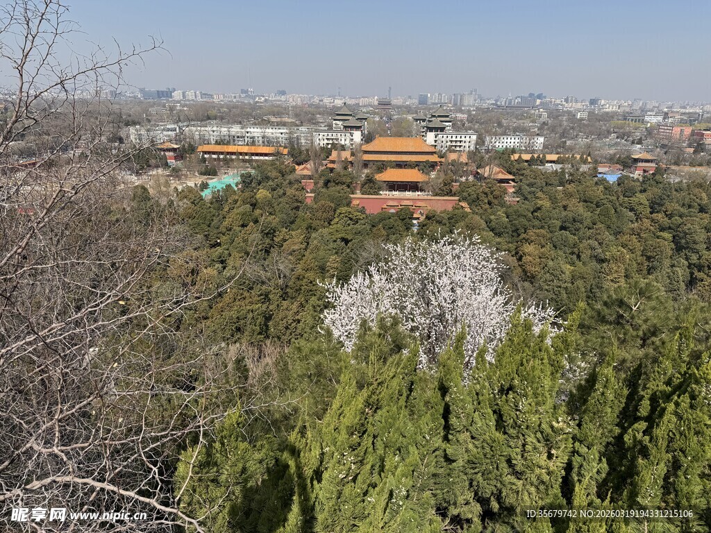 俯瞰绿树环绕的中式古建筑