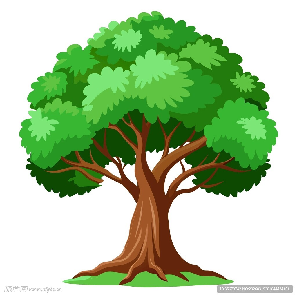 茂盛大树插画