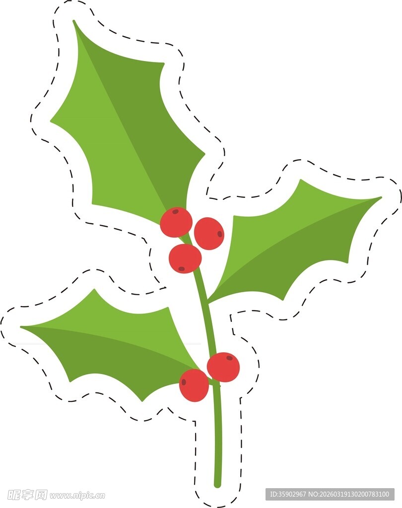 冬青浆果装饰图案