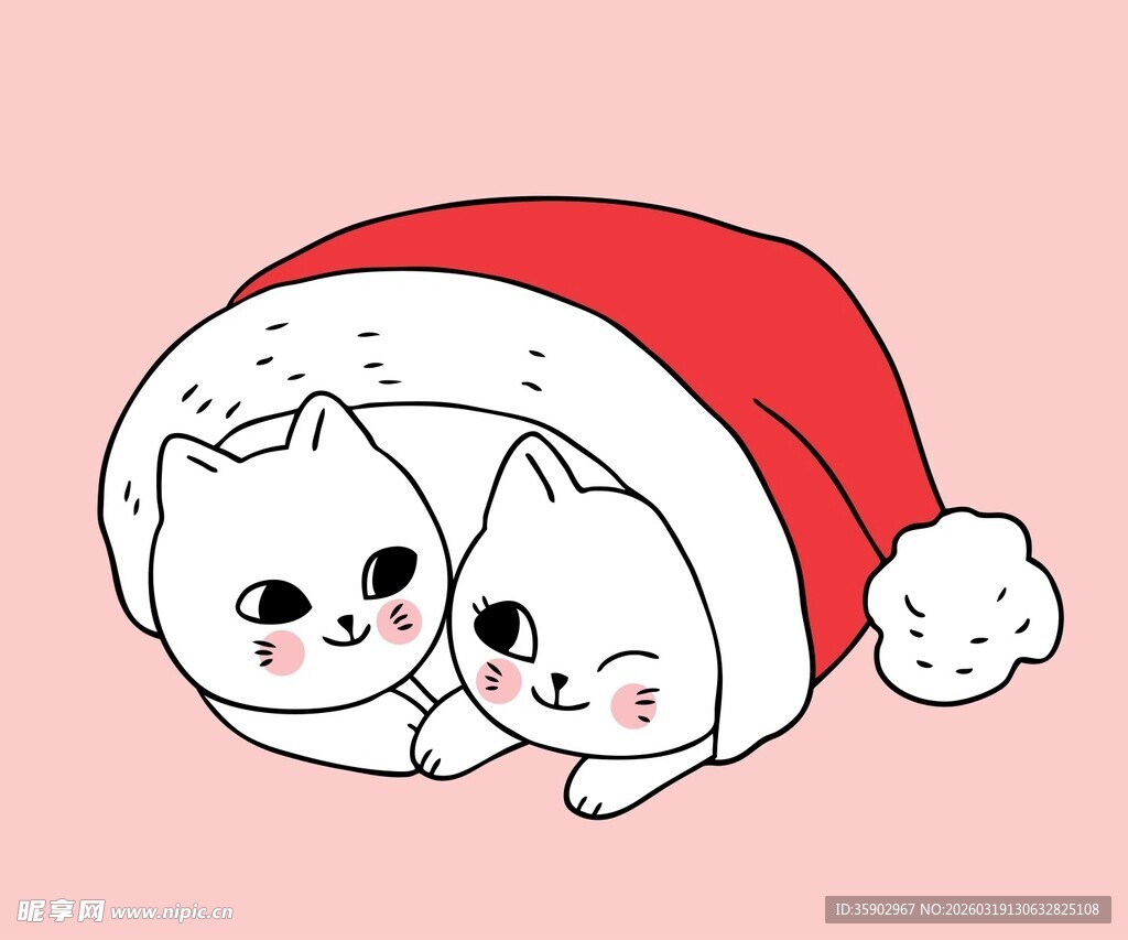 戴圣诞帽的可爱猫咪