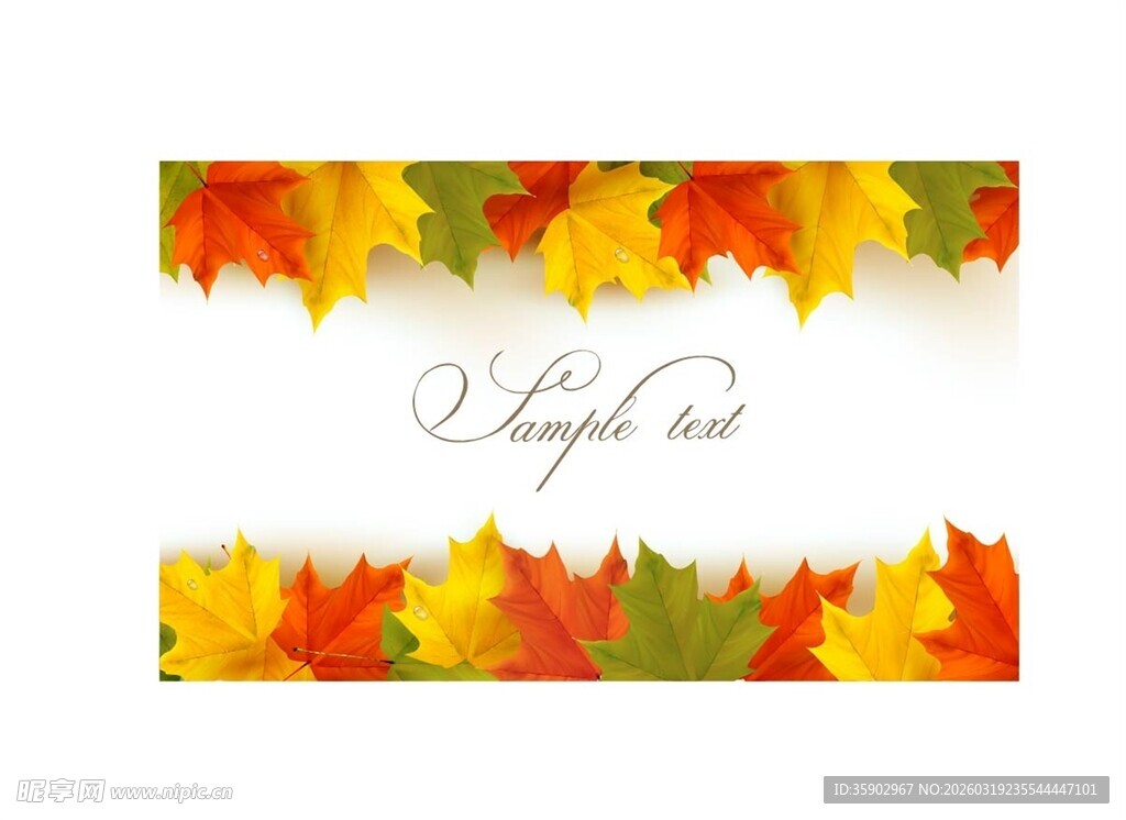 秋季枫叶装饰空白卡片