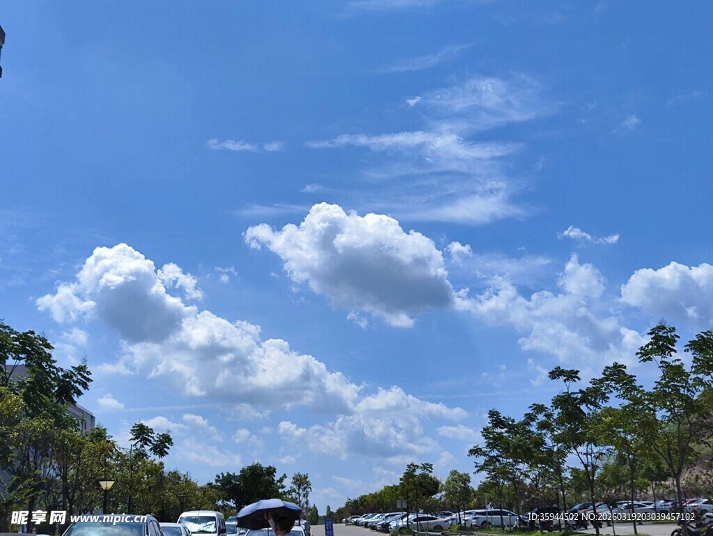 蓝天白云下的绿树风景