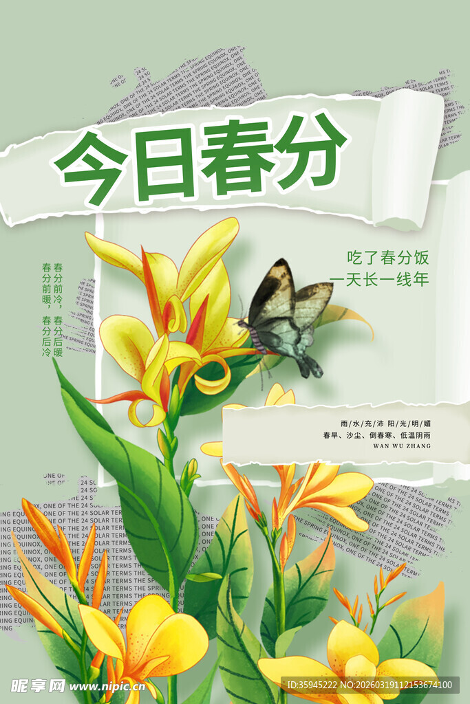 今日春分花卉与蝴蝶图