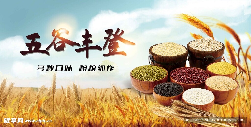 五谷杂粮 五谷丰登