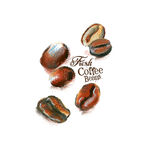 手绘咖啡豆图案