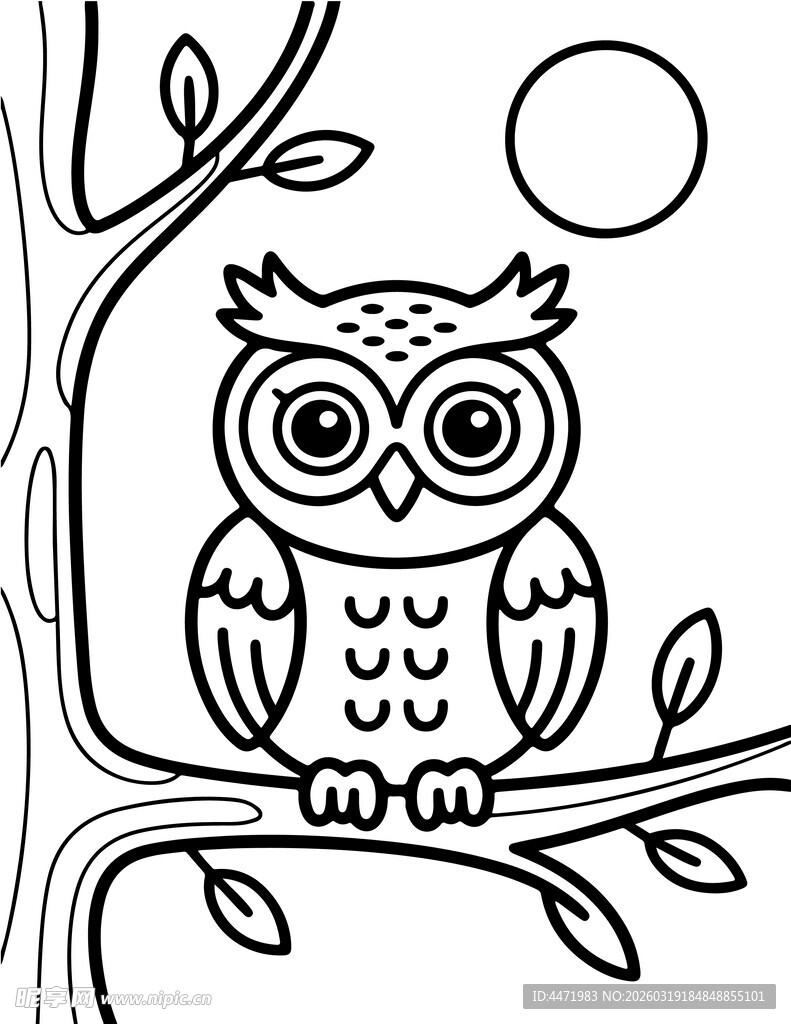 树枝上的猫头鹰简笔画