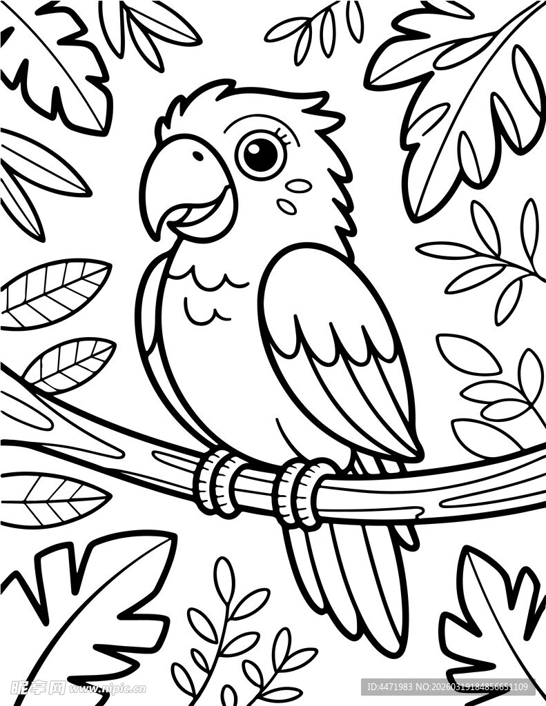 树枝上的鹦鹉黑白填色图